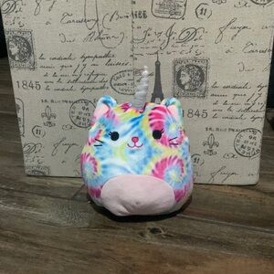 A rainbow unicorn cat squish mellow